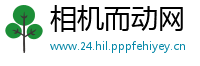 相机而动网